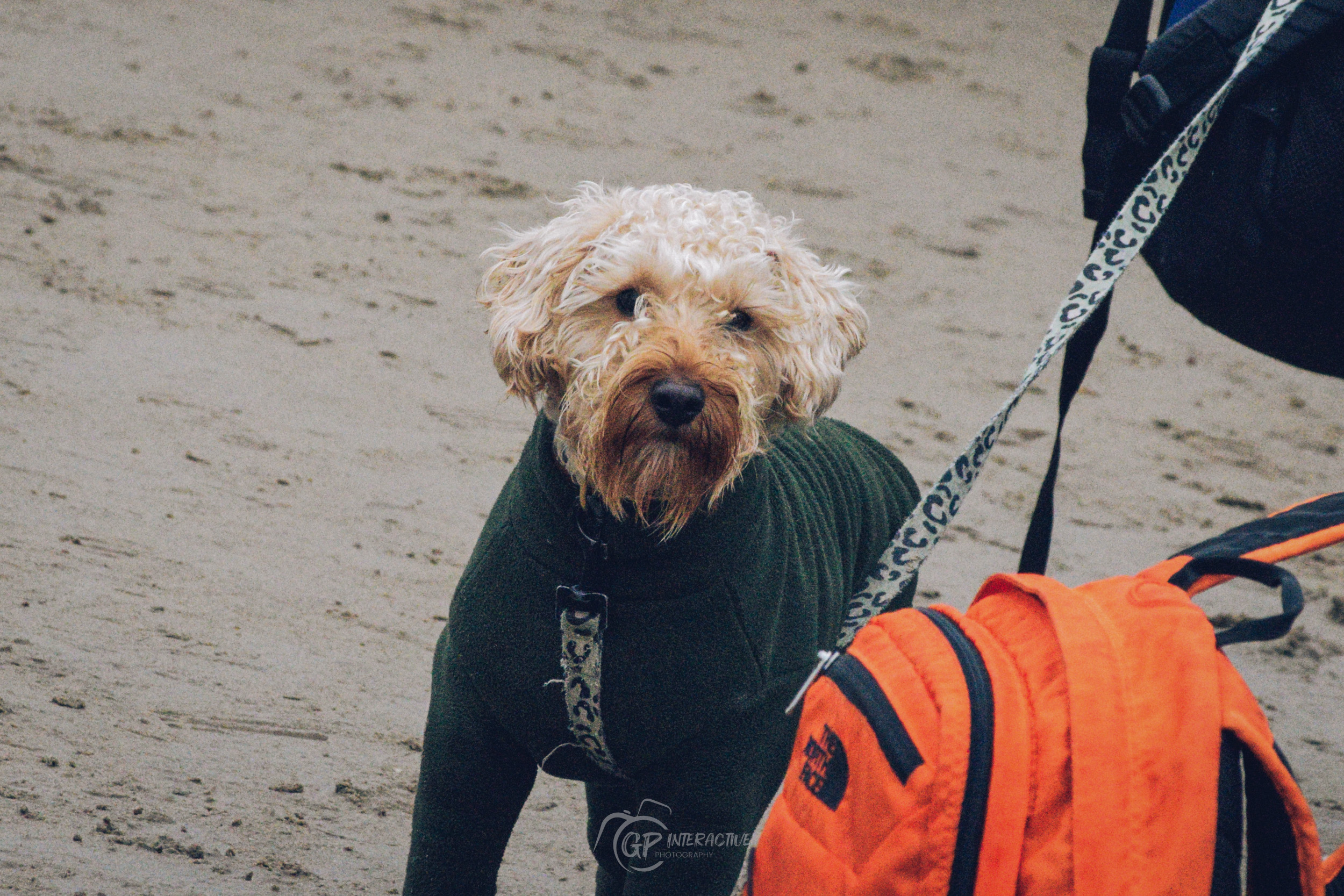 Saundersfoot Beach