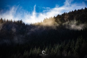 Baglan Seniors vs Baglan Youth