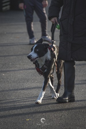 Baglan Seniors vs Baglan Youth